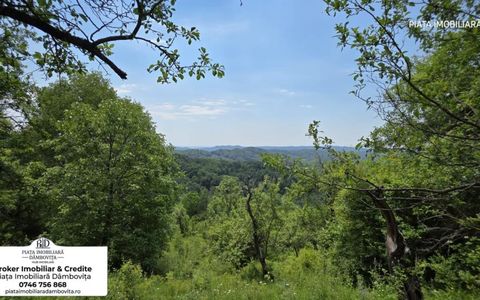 🌲 OPORTUNITATE INVESTIȚIE TURISTICĂ | Panoramă de Vis & Potențial Imens A-Frame