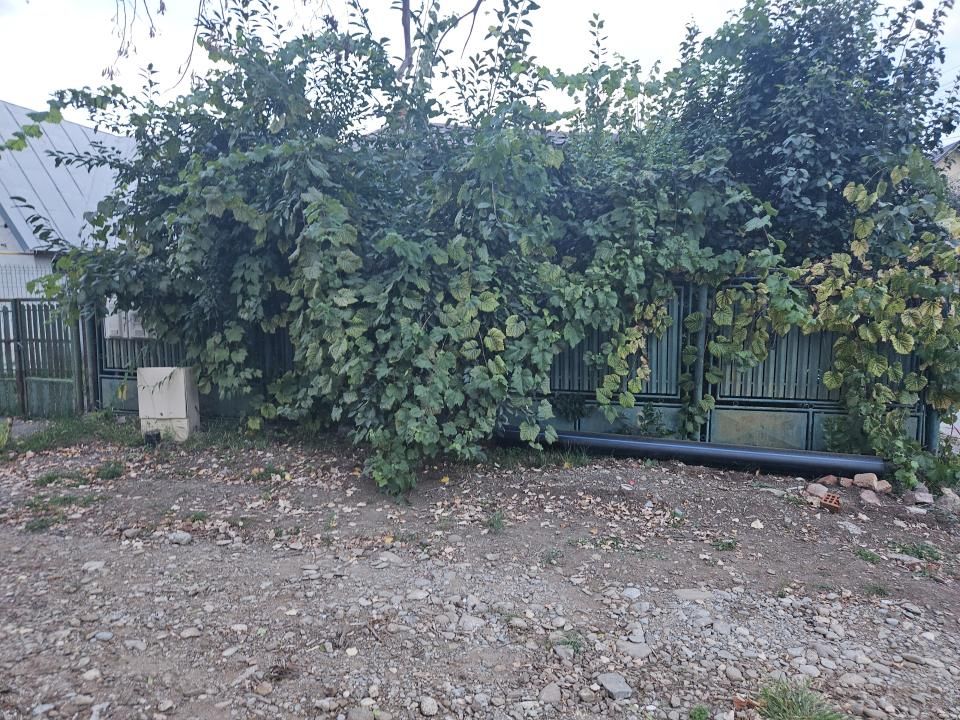 Casă de vânzare în Câmpinița – strada Dunării | 95.000 €-Oportunitate investitii – fotografia 34 din 34