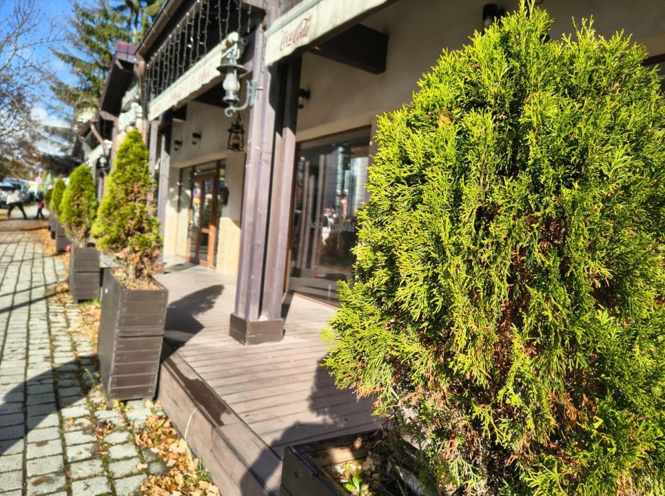 • Oportunitate Unică Predeal: Proprietate Mixtă (Comercial + Vilă) -Centru – fotografia 8 din 33