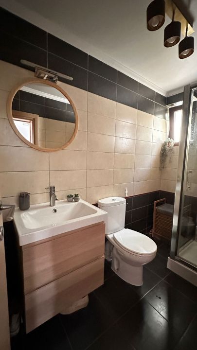 Casa individuala deosebita Alba-Micesti Sp+P+M cu 423 mp Teren Mobilata Utilata – fotografia 7 din 36