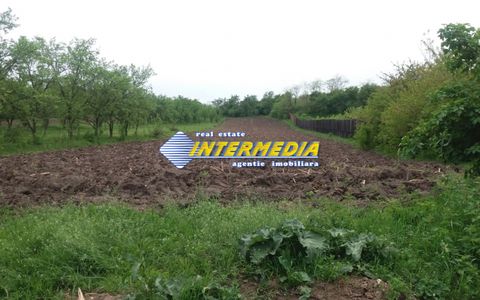 Teren intravilan de vanzare in zona Oarda cu utilitati