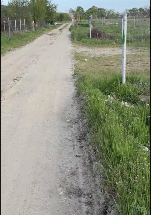 Teren 2100 mp cu ieșire la lac – Budeasa Mare – fotografia 5 din 5