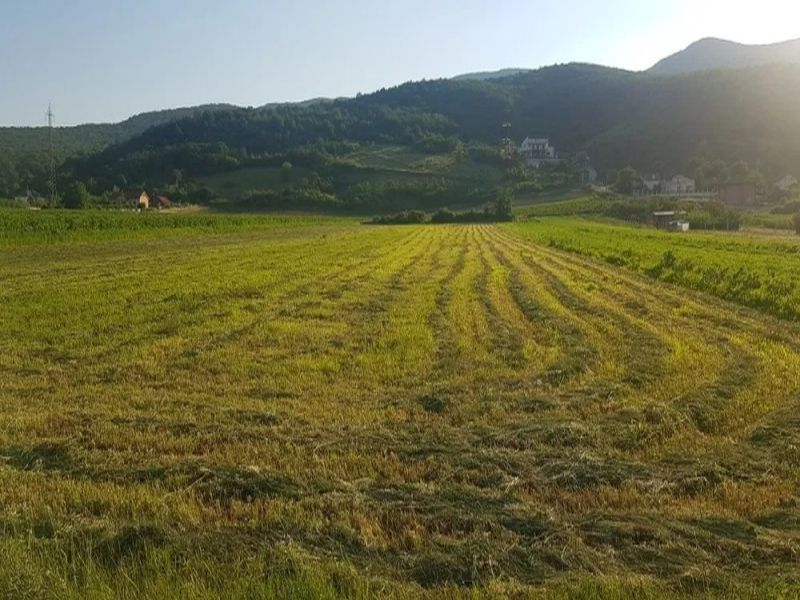 Vanzare Teren Intravilan 4400 mp CETATE Stadion, D+P+4 la asfalt toate utilitati – fotografia 8 din 8
