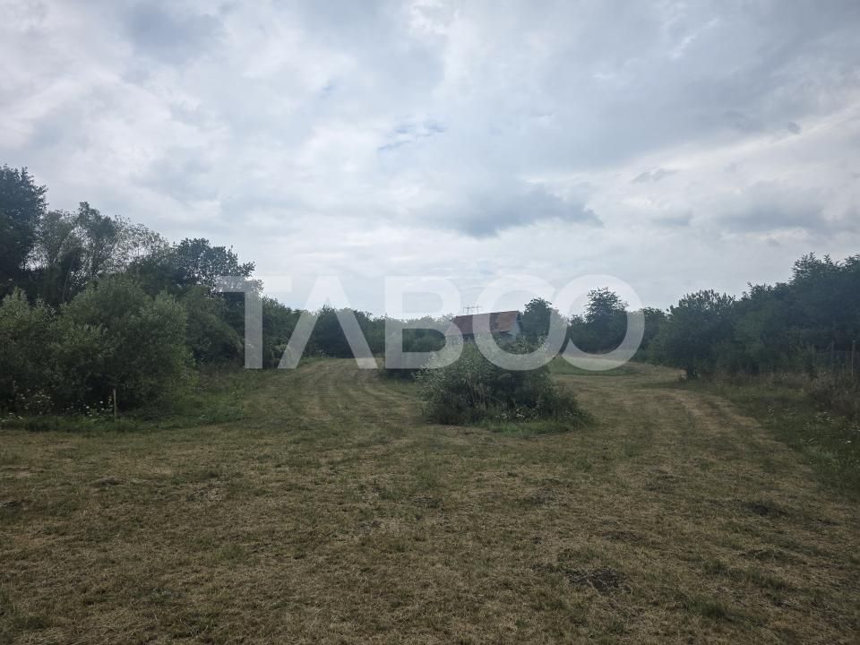Teren de vanzare 8700 mp cu un front de 30m in Sura Mare – fotografia 6 din 8