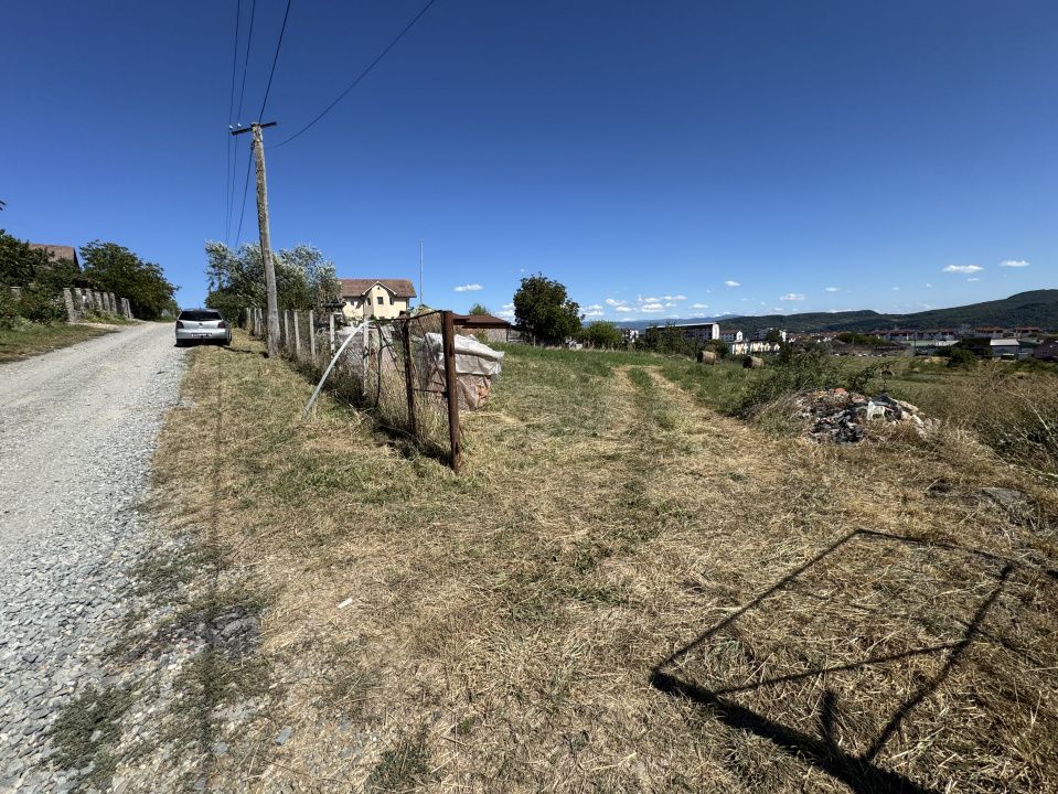 TEREN INTRAVILAN 4.600 MP - ZONA LEONI - OPORTUNITATE DE INVESTIȚIE – fotografia 4 din 5
