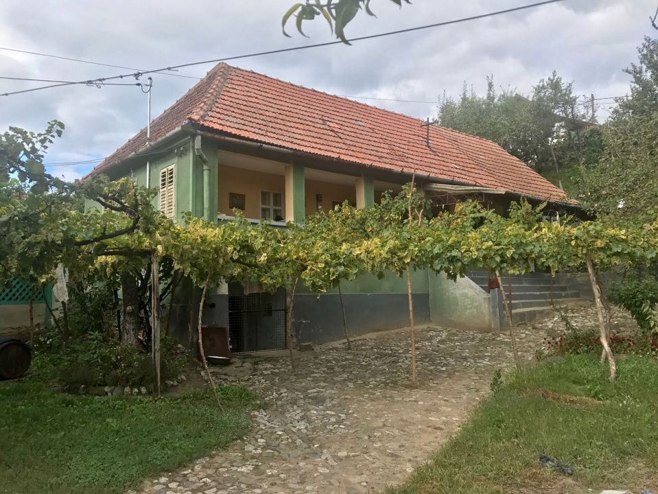 OKAZIE! Casa in Cricau 3 Camere 1300 mp. Curte Teren Fantana Utilitati Asfalt – fotografia 8 din 32
