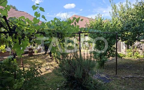 Casa cu 2 camere decomandate 335 mp teren in zona Parcul Tineretului