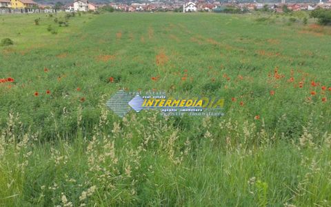 Teren intravilan 4300 mp de vanzare Alba Iulia, Zona Cetate