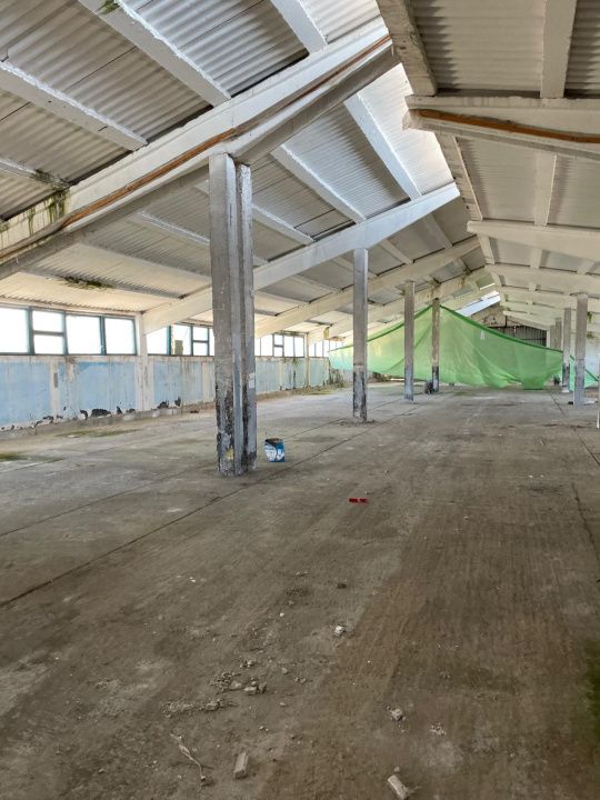 Hală industrială de vânzare în Ovidiu – 1.875 mp hală, teren 3.000 mp – fotografia 24 din 31