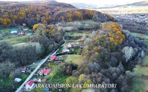 PADURE LANGA ORAS ACCES BUN IDEALA PENTRU ACTIVITATI DE AGREMENT