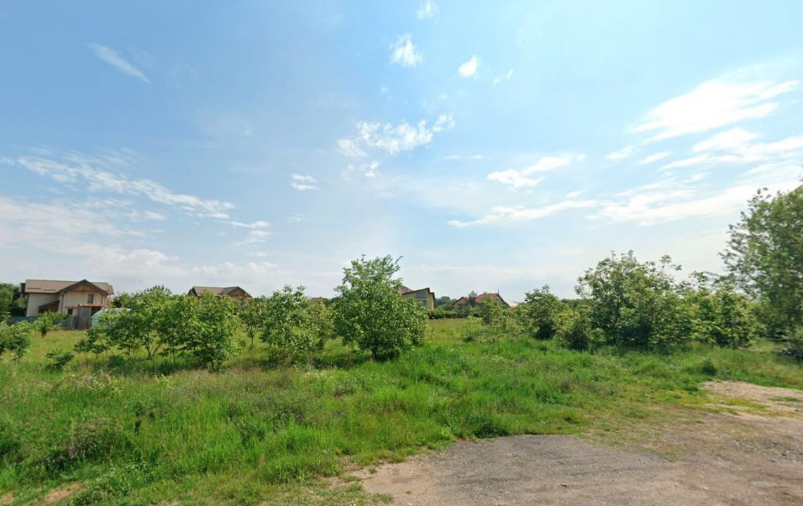Teren intravilan 5.293 mp-deschidere 42m–Domnești Ilfov, utilități la limita – fotografia 3 din 4