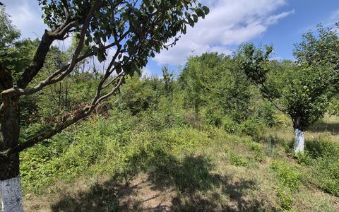 Teren de inchiriat – Voluntari, Strada Popasului 616mp