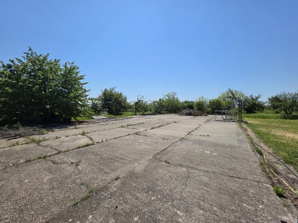 Oportunitate Rară în Ciorogârla– 8.000 mp Teren | Dublu Acces Asfaltat – fotografia 16 din 23
