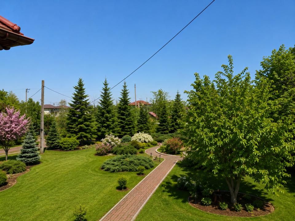 Oportunitate Rară în Ciorogârla– 8.000 mp Teren | Dublu Acces Asfaltat – fotografia 7 din 23