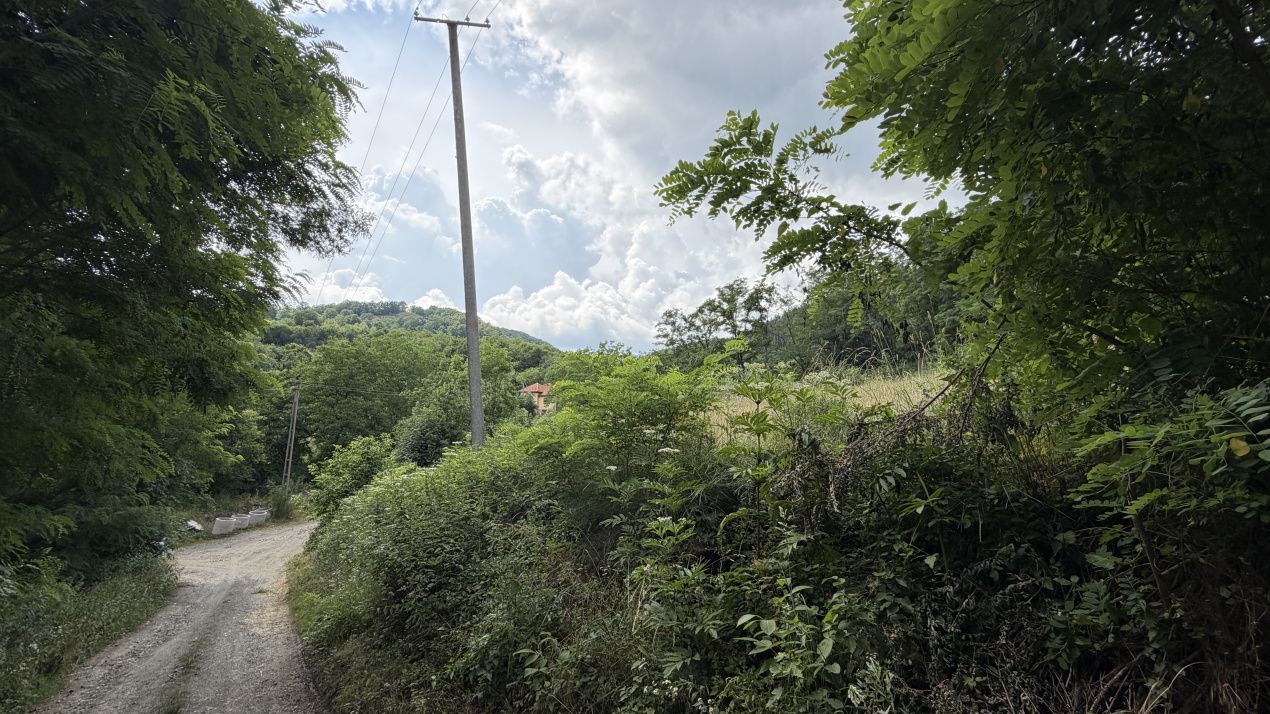 TEREN Intravilan 1257 mp Liziera Pădurii Meteș Platou Cabană la 15 km Alba Iulia – fotografia 7 din 11