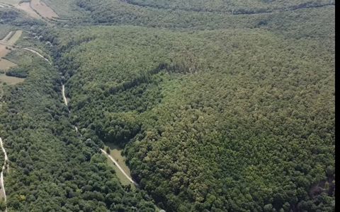 🌳 OPORTUNITATEA RARĂ DE INVESTIȚIE- PĂDURE DE VÂNZARE 38,24 HA- MINTIU