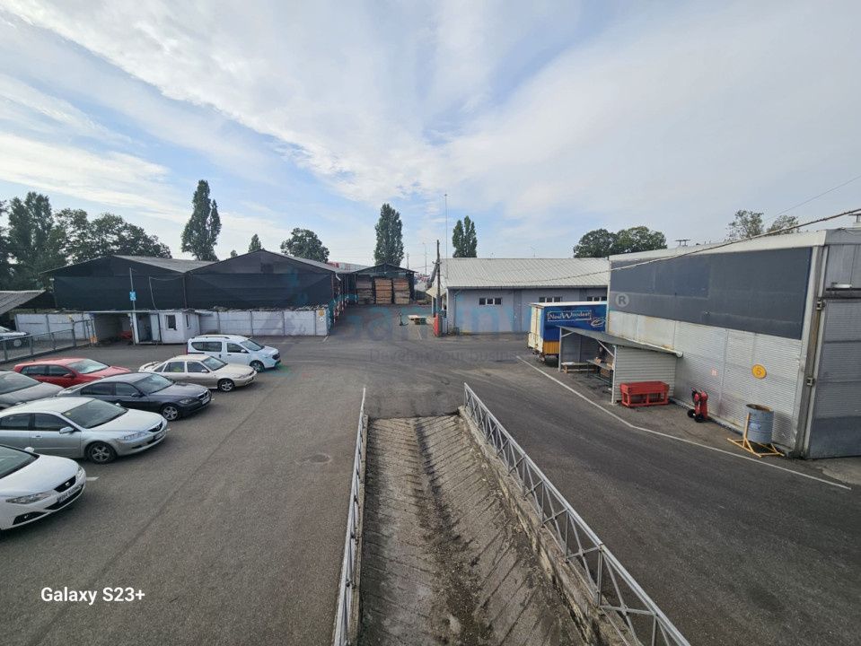 Oportunitate de investiție - Hale Industriale cu Randament ridicat in zona Borș – fotografia 4 din 19