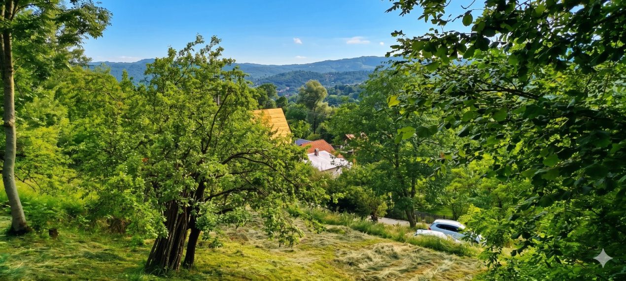 Teren intravilan 3000 mp Comarnic PH/ panorama/ ideal resort/ casa de vacanta – fotografia 3 din 7
