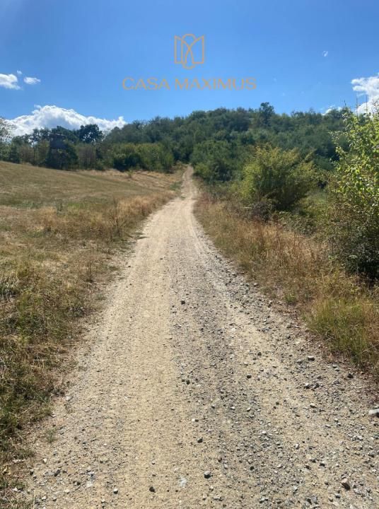 Vand o parcela teren 1600 mp in Cisnadioara ,prelungire la strada Ciresilor – fotografia 2 din 5