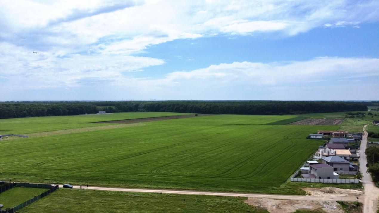 ✨OPORTUNITATE INVESTIȚIE:Teren intravilan 25.000mp Dascălu-Pădure, parcelabil✨ – fotografia 4 din 14