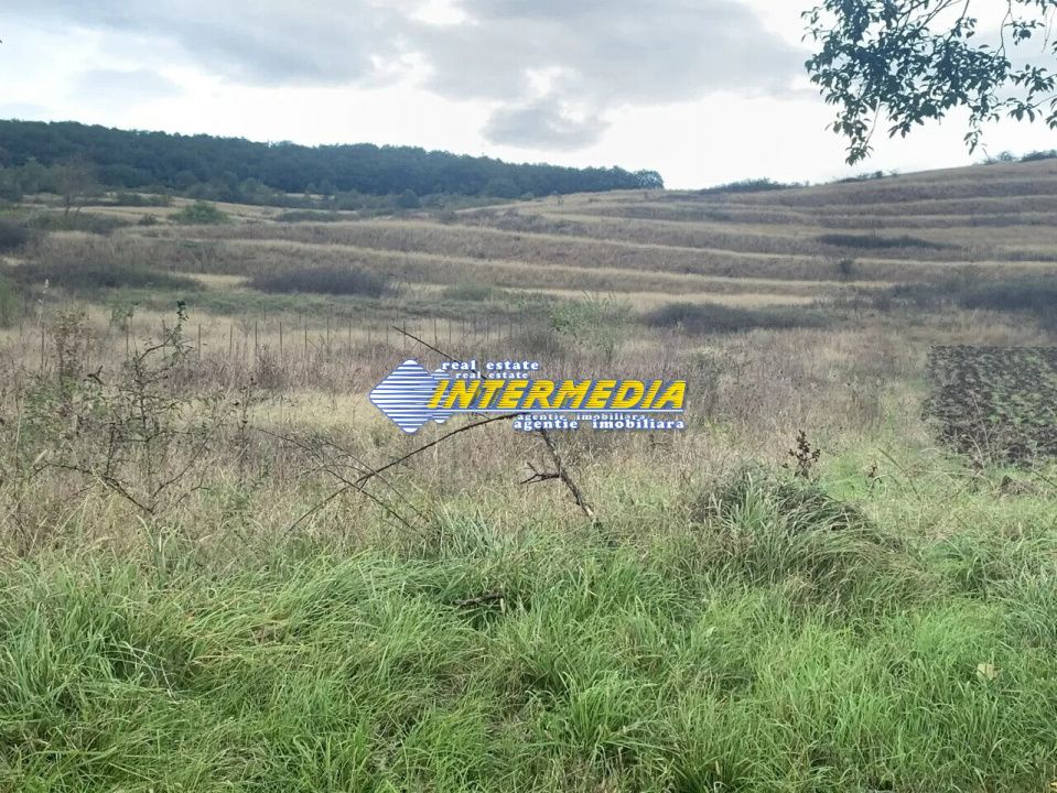 Teren intravilan de vanzare 1248 mp d=15 mTeleac cu utilitati panorama deosebita – fotografia 4 din 4