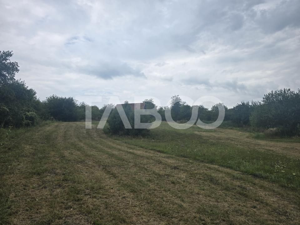 Teren de vanzare 8700 mp cu un front de 30m in Sura Mare – fotografia 3 din 8