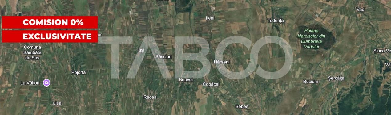 Teren intravilan 2000 mp cu utilitati in apropiere Sat Savastreni – fotografia 3 din 3