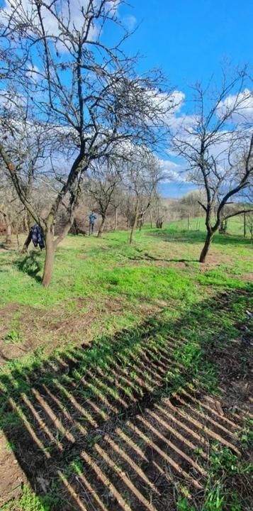 Casă la țară de vânzare – Buzoesti, Argeș | Ideală pentru locuit sau relaxare – fotografia 8 din 10