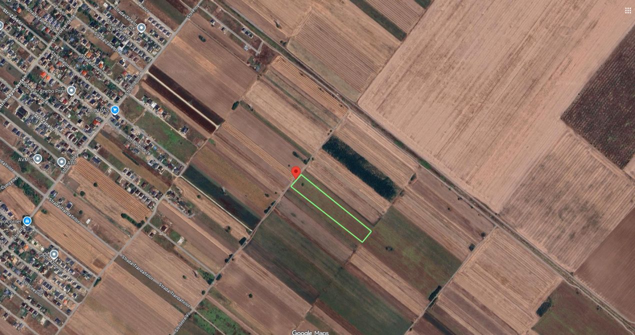 Teren Investitional 1,24 ha Com Berceni | deschidere 42ml | #CG28 – fotografia 3 din 7