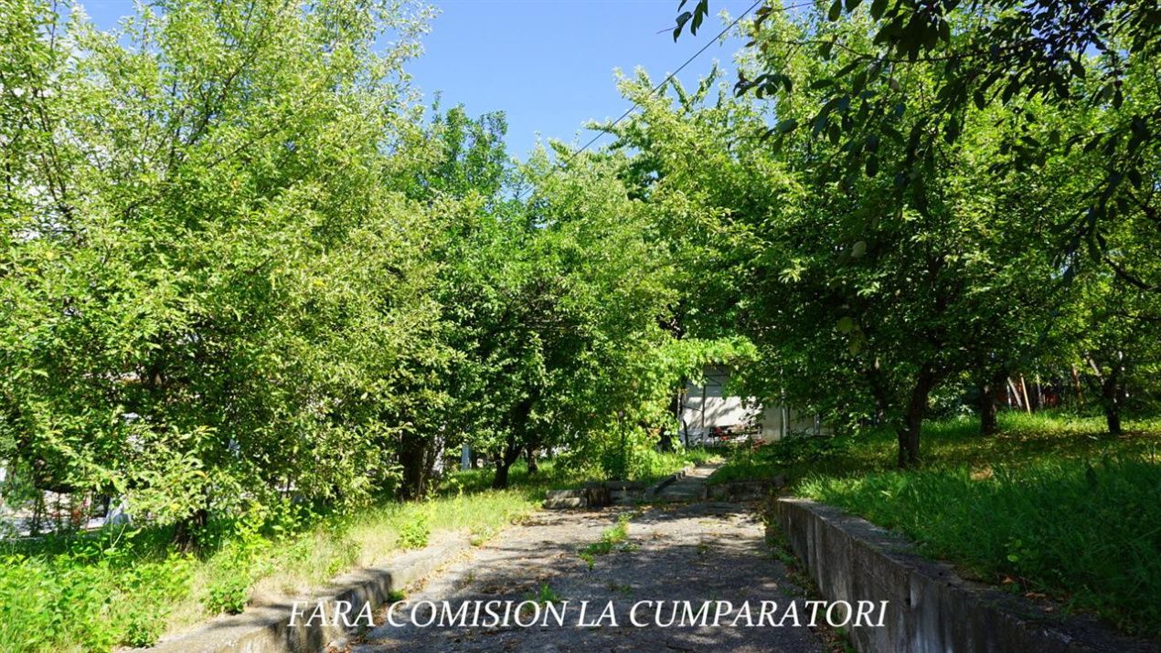 ANL- MORILOR TEREN 635 MP – fotografia 6 din 16