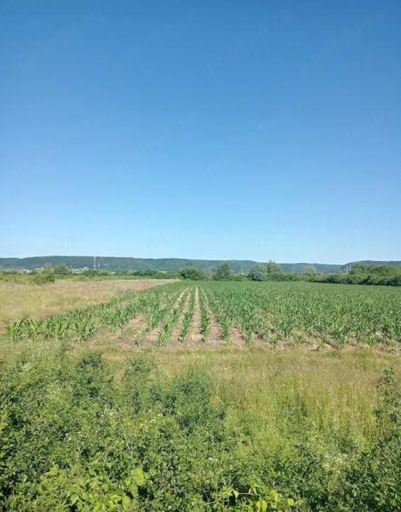 Teren 3.000 mp, zonă industrială Mioveni - Colibas – acces facil – fotografia 2 din 2