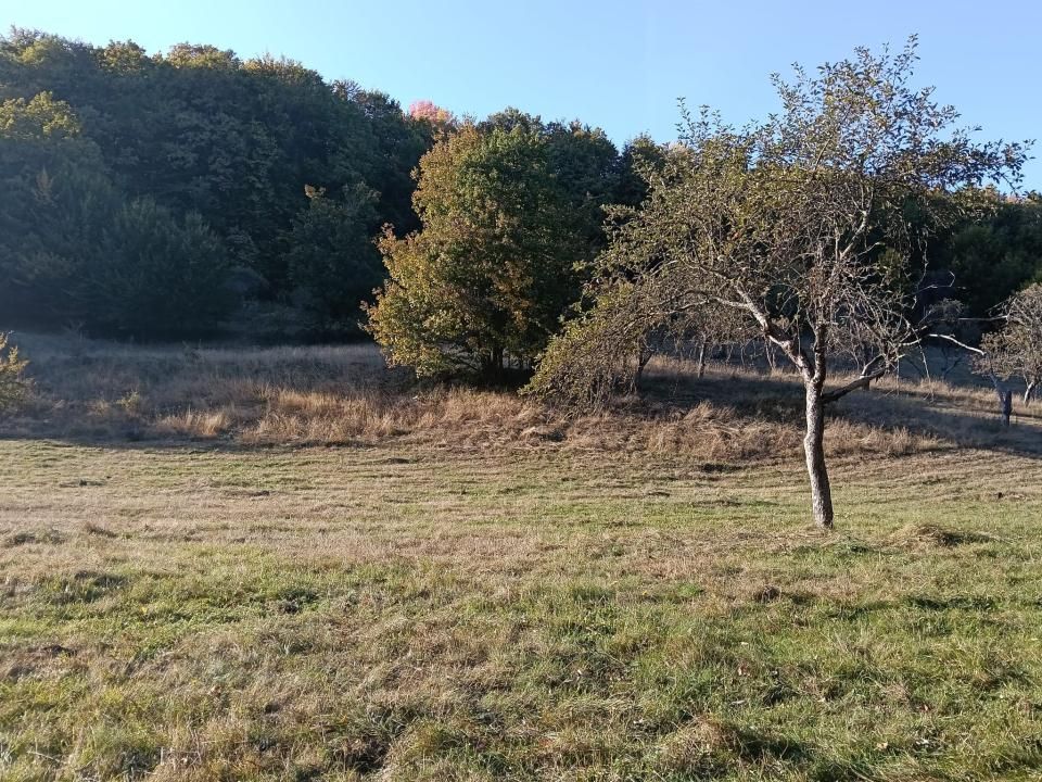 TERENUL PE CARE NU-L CAUȚI… DAR CÂND ÎL VEZI, ÎL VREI! – fotografia 7 din 12