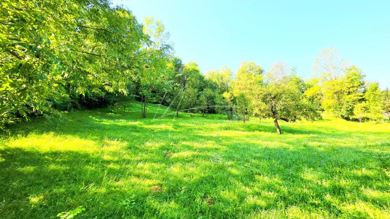 TEREN IN SUPRFATA DE 2870 MP IN PROVITA DE SUS VALEA BRADULUI JUD PRAHOVA – fotografia 1 din 16