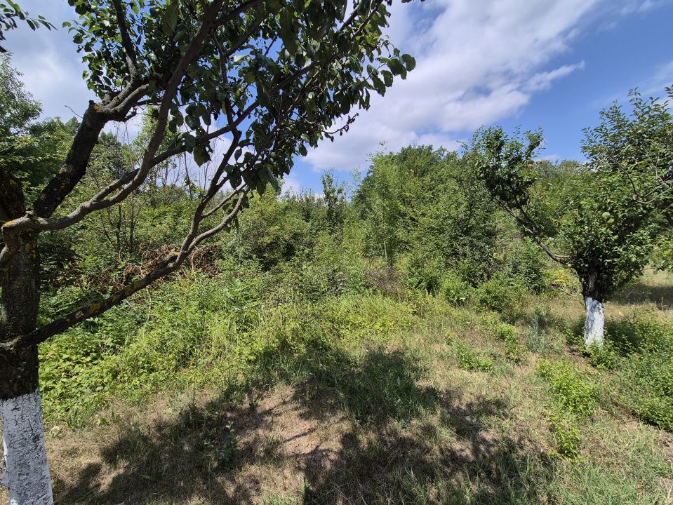 Teren de inchiriat – Voluntari, Strada Popasului 616mp – fotografia 1 din 8