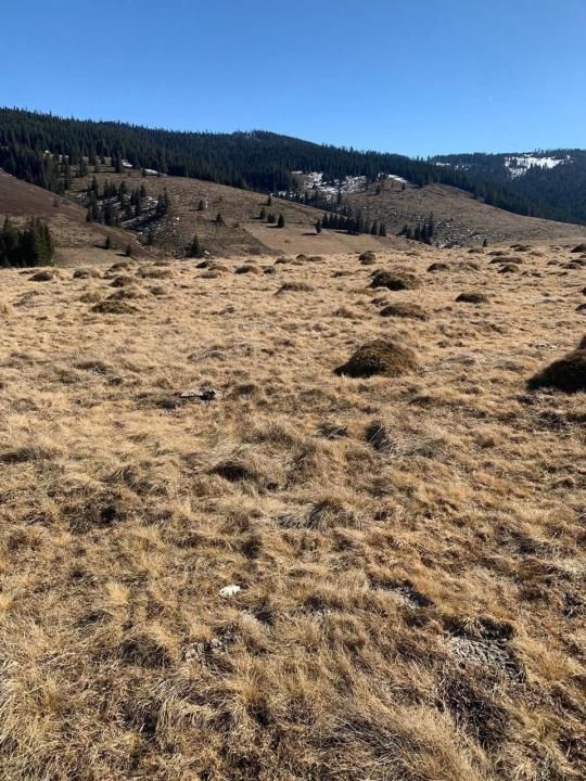 Teren extravilan 13.045 mp de vânzare | Giurcuța de Sus, Beliș – fotografia 1 din 3