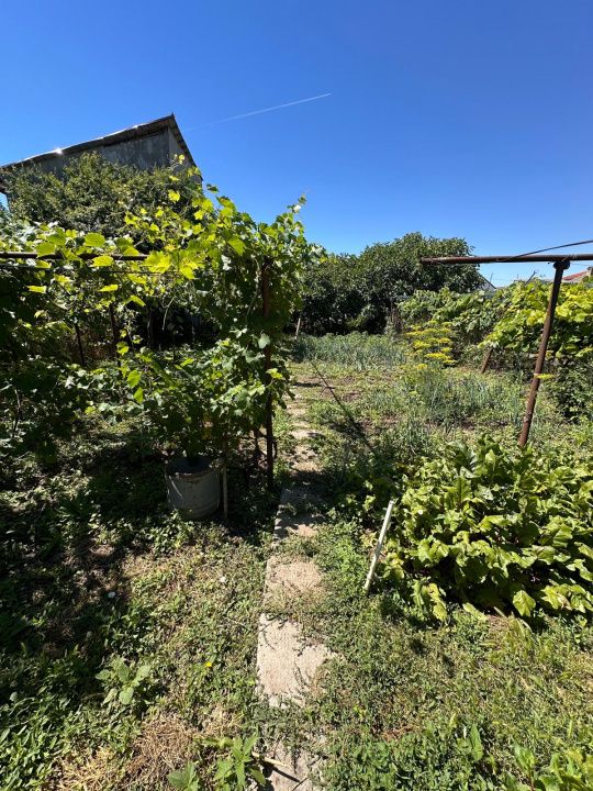 Casă 4 Camere de vânzare în zona  KM 5 - Constanța | Teren 520 mp – fotografia 5 din 22