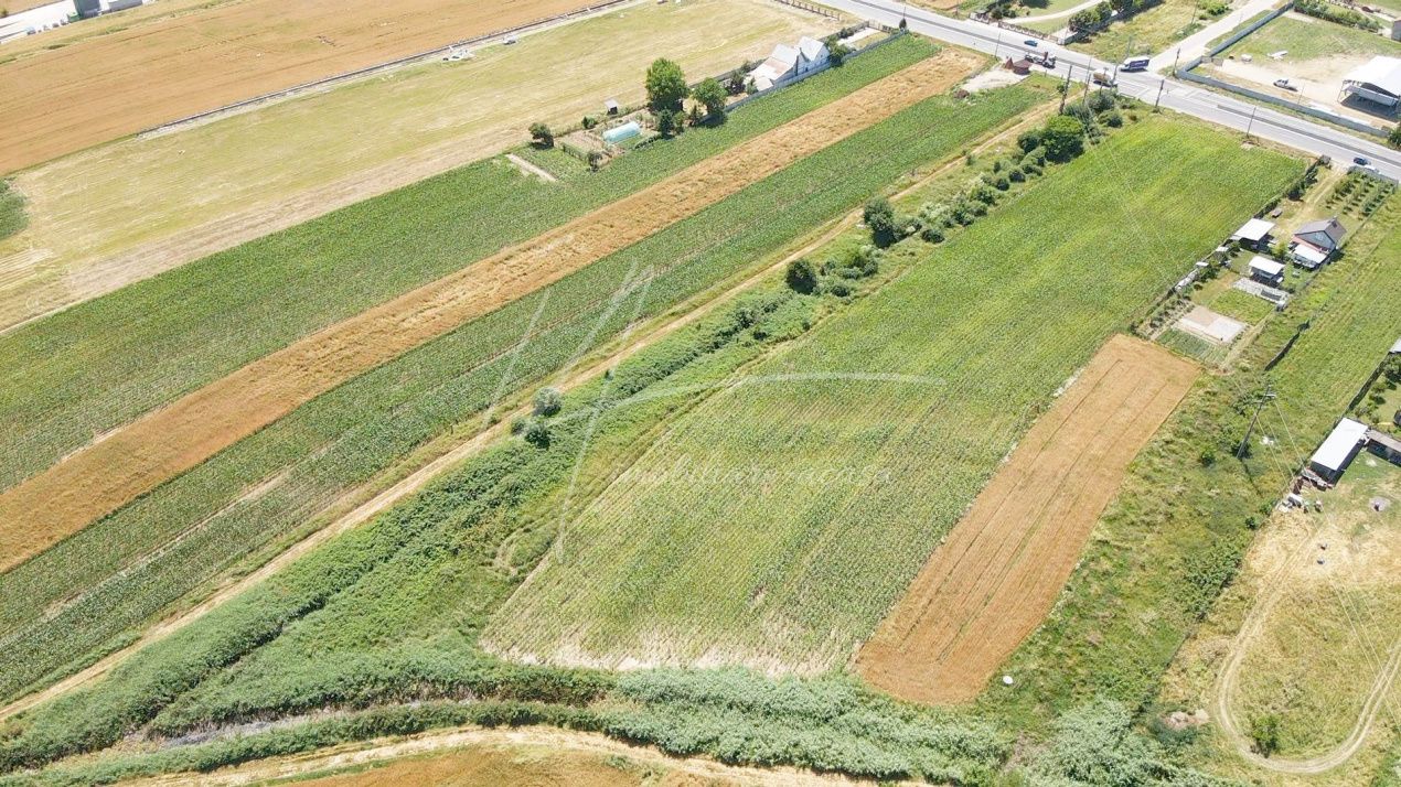Teren cu potențial de dezvoltare –7427 mp în Argeșelu, Mărăcineni, județul Arges – fotografia 10 din 11