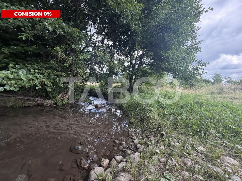 Teren extravilan 3650 mp latime 28 ml pretabil pentru cabana turistica – fotografia 1 din 5