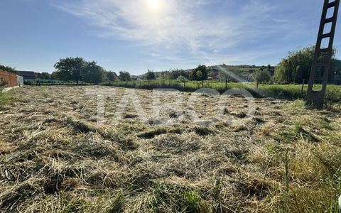 Teren intravilan de vanzare 1030mp 17 m front stradal Sura Mare