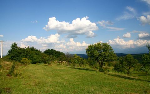 Teren extravilan de vânzare | 600 mp | Daia Nouă
