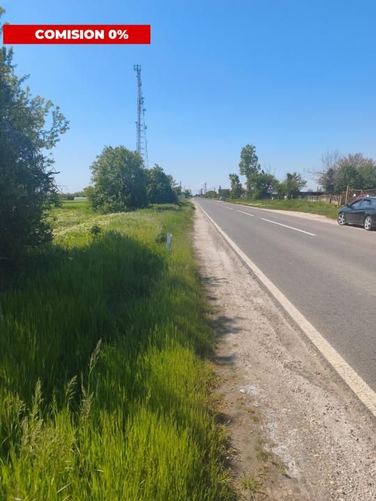 Teren agricol 12.500 mp | Deschidere directă DN61 | Dublu acces | Corbii Mari – fotografia 7 din 7