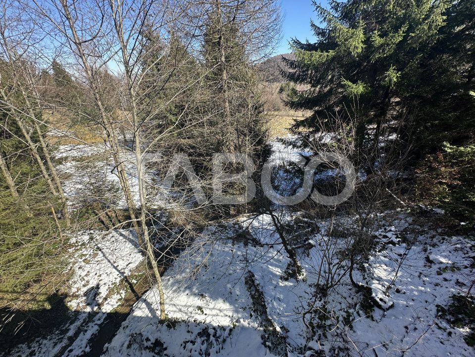 Teren extravilan 4600 mp cu acces la rau Satul de Vacanta Dejani – fotografia 5 din 5