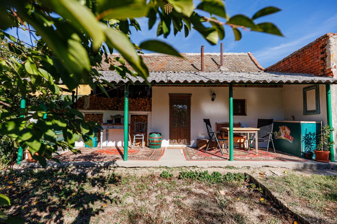Casă individuală, teren 1.929 mp, acces spre Bega – Remetea Mare – fotografia 34 din 43