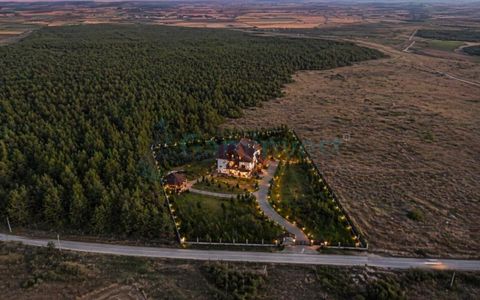 Teren langa padure de 3,5 ha cu proiect pentru pensiune la 15 minute de Oradea