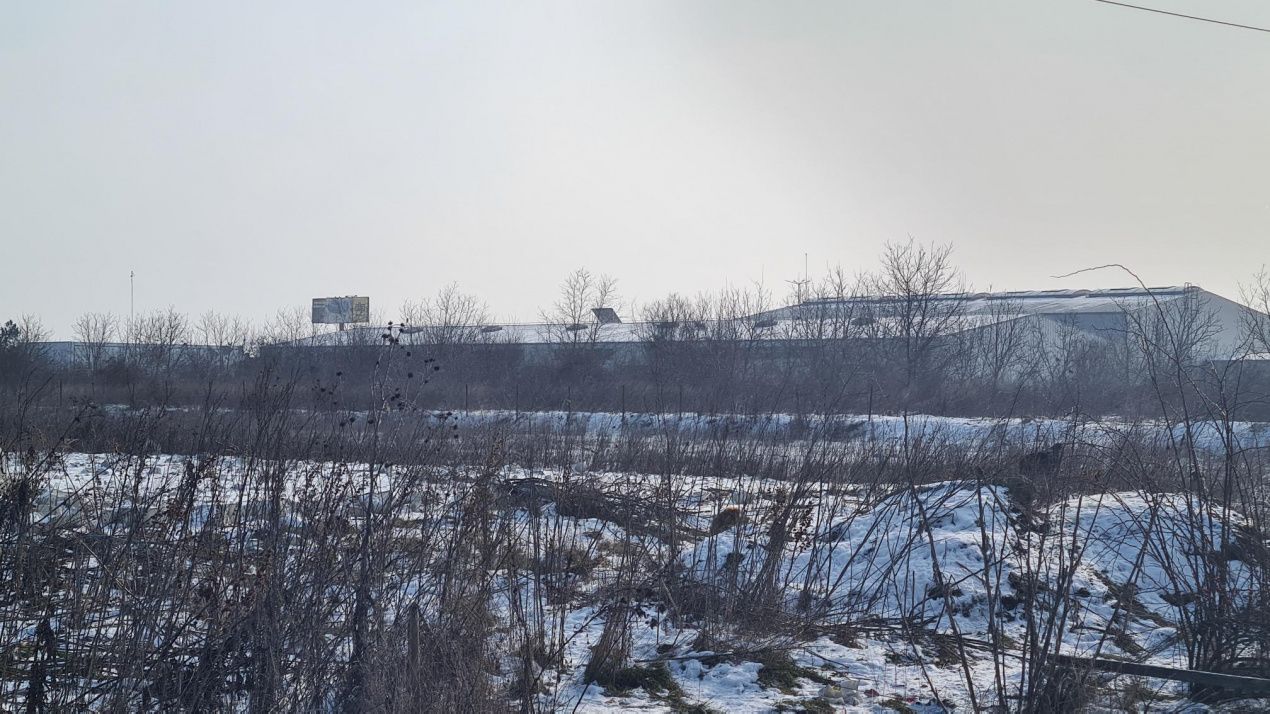 Teren intravilan | rezidential-industrial 12.280mp Balotești – DN1 Value Center – fotografia 6 din 11