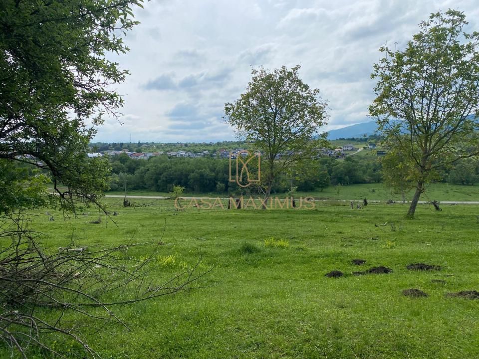 TEREN CU PANORAMĂ SPECTACULOASĂ ÎN CISNĂDIOARA – OPORTUNITATE DE INVESTIȚIE! – fotografia 6 din 15