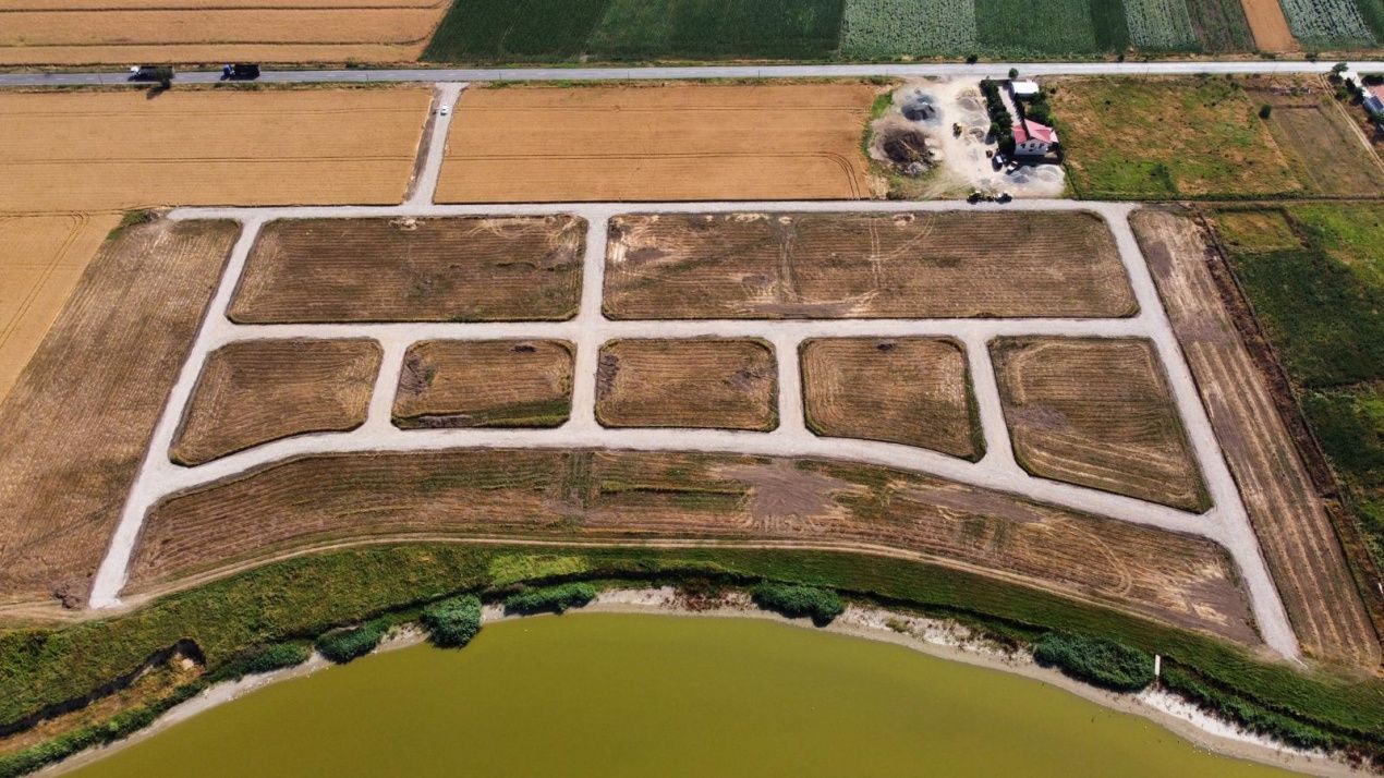 Intravilan In Rate in Frumusani-Pasarea | utilitati gaz, curent | #RG1 – fotografia 7 din 9