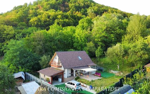 OLANESTI CASA NOUA TEREN 1389 MP