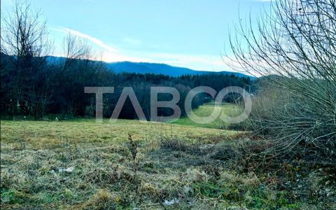 Teren cu PUZ si utilitati intravilan in Tocile din judetul Sibiu