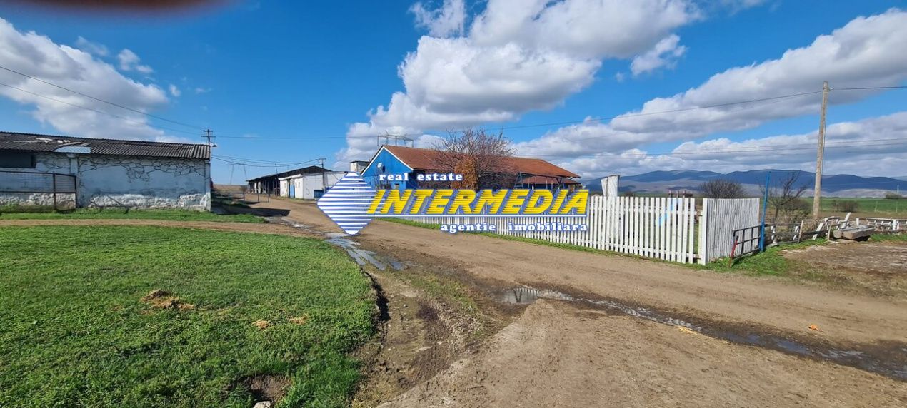Ferma de vanzare in apropiere de Alba Iulia – fotografia 7 din 12